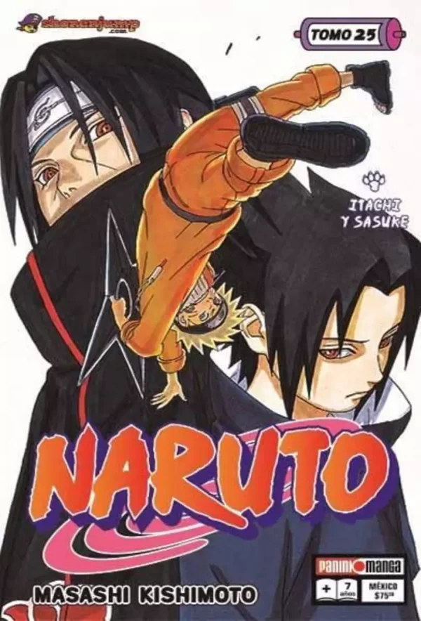 Naruto (25)