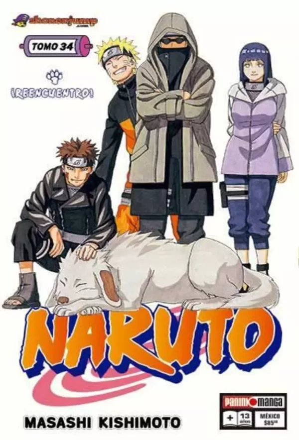 Naruto (34)